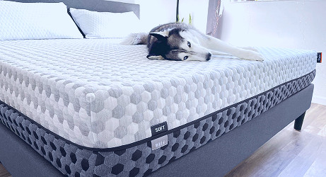 Cooling Memory Foam Mattress | Layla Sleep®